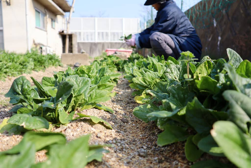 cold chain integrity